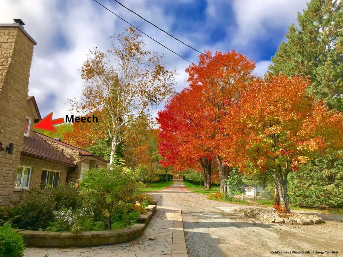 Auberge Tom B&B Chelsea Luaran gambar